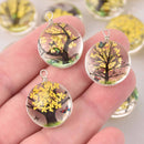 2 Yellow Pressed Flower Charms, Silver Loop with Glass, Real Flowers chs8016