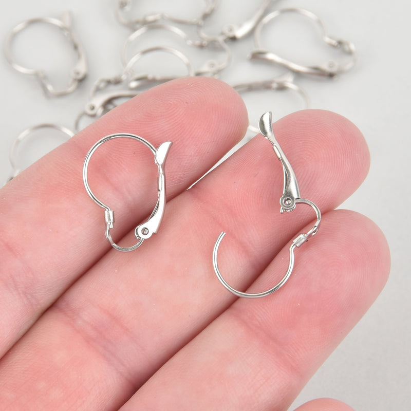 10 STAINLESS STEEL Lever Back Earrings Ear Wires (5 pairs) fin0874