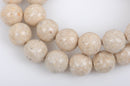 4mm Round WHITE FOSSIL STONE Beads, non-faceted, full strand, Natural Gemstones Gaf0007