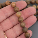 10mm Natural Green Sandalwood Wood Beads, 16" strand, bwd0070