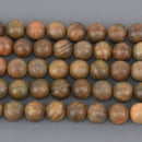10mm Natural Green Sandalwood Wood Beads, 16" strand, bwd0070