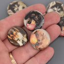 25mm Dog Beads, paper mache coin, 5 beads, bwd0084