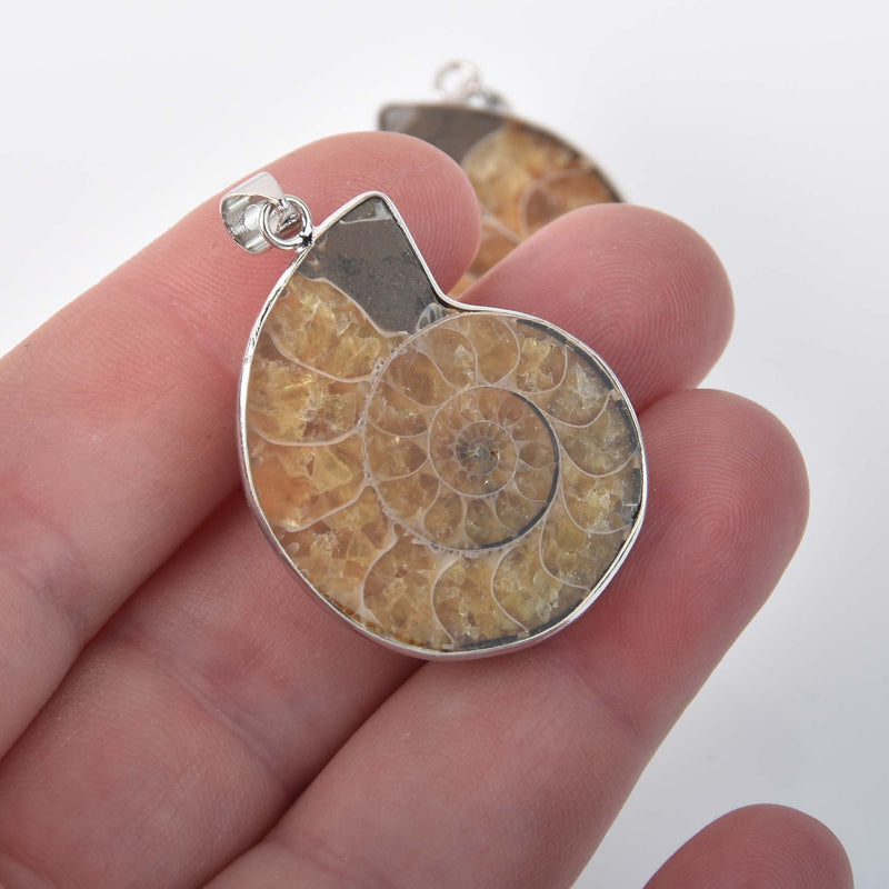 1 Genuine Fossil AMMONITE Pendant chs8312