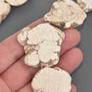 WHITE HOWLITE Slab Shape Gemstone Beads, magnesite, about 1-1/2" to 1-3/4", full strand, about 10-11 beads, gem0915