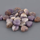 14mm Purple RUSSIAN CHAROITE Trillion Triangle Beads, 6 beads, gem0922