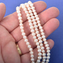 6mm Polished Round Potato Shape IVORY FRESHWATER PEARL Beads, strand, gpe0006