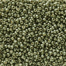 Size 11/0 Miyuki Round Seed Beads, Dark Steel Green 11-95112, 24 grams, bsd0636
