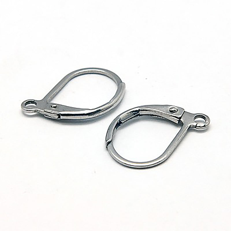 10 STAINLESS STEEL Metal Lever Back Earrings Ear Wires (5 pairs) fin0459