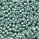 Size 6/0 Miyuki Round Seed Beads, Fancy Frosted Pale Seafoam Green 6-92028, 20 grams, bsd0604