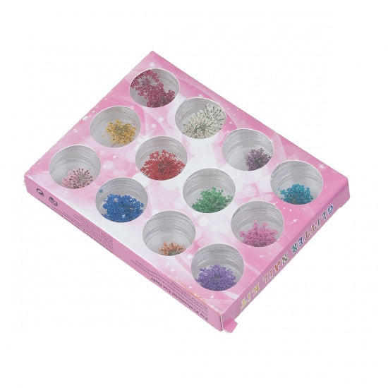 Multicolor Dried Flowers for nail art, resin, cards, crafts, cft0300