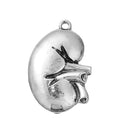 5 KIDNEY Charms, Anatomical Body Parts Pewter Charm Pendant, 28x19mm, chs3274