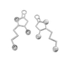 5 WHISKEY Molecule Chemistry Charms, WHISKY Silver Tone Charm Pendants, Science Charms, 50x20mm, chs3496