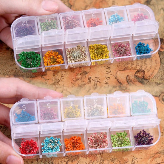 Multicolor Dried Flowers for nail art, resin, cards, crafts, cft0301