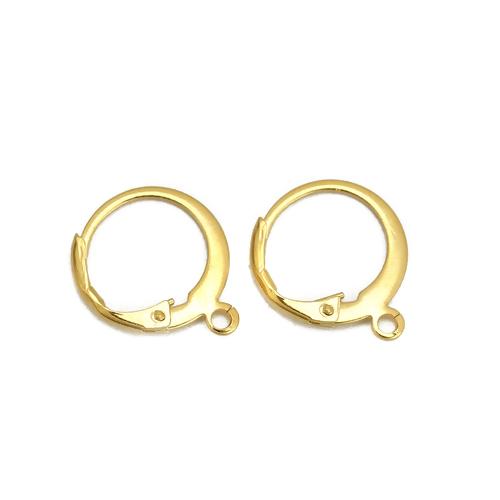 10 Gold Lever Back Earrings Ear Wires, Stainless Steel, Round, (5 pairs) fin1100