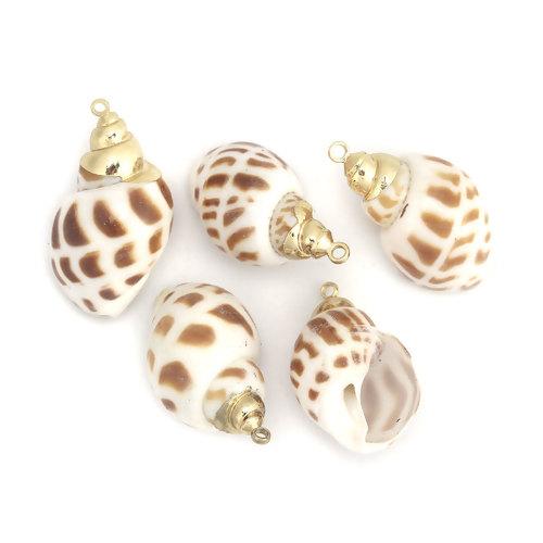 2 Natural Sea Shell Charms with gold plating and gold bail, leopard spots, about 3/4" long, cho0106