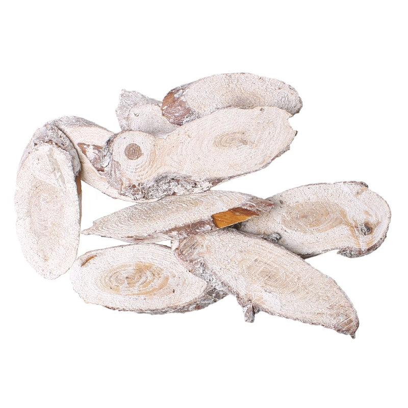 20 Natural White Birch Wood Angle Slices for Craft Projects, bark logs, tree slices, about 2.5" to 5" long, cft0014