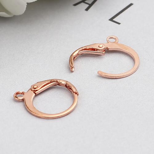 20 Rose Gold Lever Back Earrings Ear Wires, Round, (10 pairs) fin1078