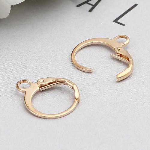 20 Light Gold Lever Back Earrings Ear Wires, Round, (10 pairs) fin1077