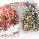 Real Dried Flowers, Random Color 17cm x 12cm, 1 Box cft0278