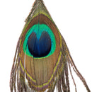 natural peacock feather charm