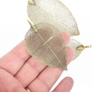 2 Real Leaf Charms BRONZE 2.5" to 3" long chs4533