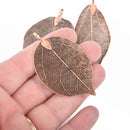 2 Real Leaf Charms COPPER 2.5" to 3" long chs4535