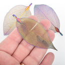 2 Real Leaf Charms RAINBOW 2.5" to 3" long chs4539