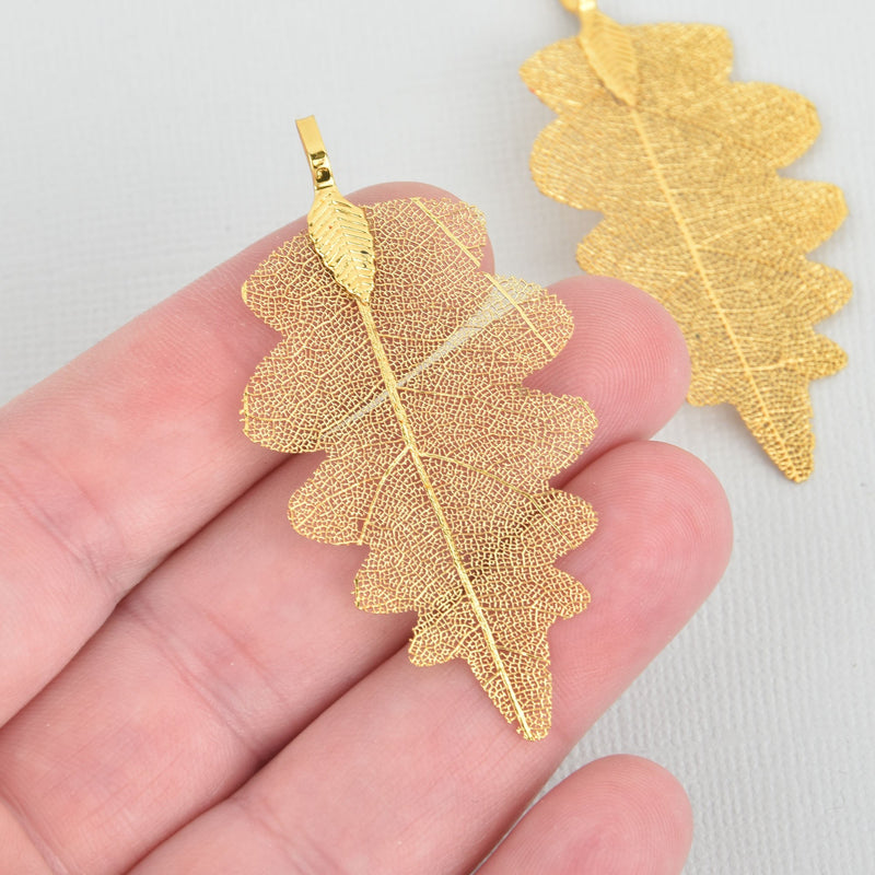 2 Real Leaf Charms GOLD Oak Leaves 2.25" to 2.5" long chs5306
