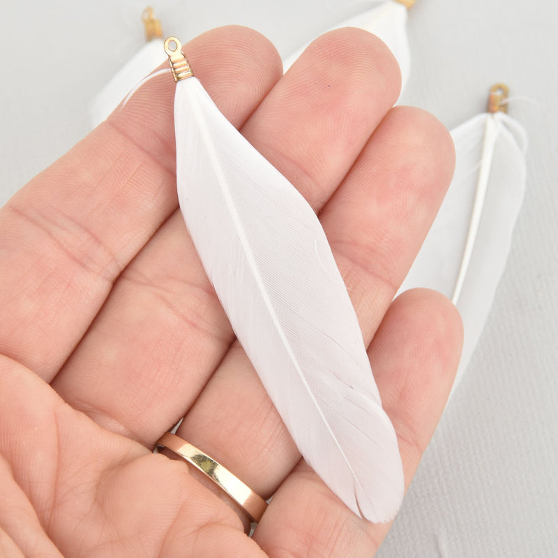 20 WHITE Real Feather Charms Goose feathers with gold bail 3" long, chs5642