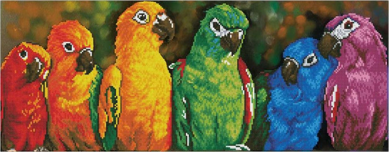 Diamond Painting Kit, Rainbow Parrots, Diamond Dotz Wall Art kit0254