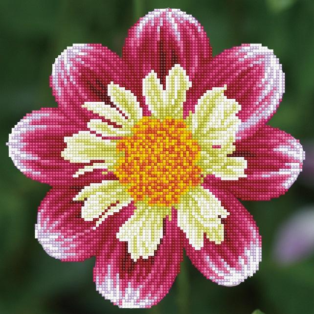 Diamond Painting Kit Daisy A Day Diamond Dotz kit0389