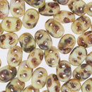 SuperDuo Beads 2.5x5mm Chalk Travertine Dark 2-Hole Seed Beads, 5-Inch Tube, du0503000-86805, bsd0155
