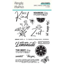 Vintage Lemon Twist by Simple Stories - 16 pc Phrases, Citrus, Flower, Butterfly Photopolymer Clear Stamps for Scrapbooking, junk journaling pap0032