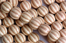 1 Strand Honey Tan PUMPKIN Ceramic Porcelain Beads . approx 26 beads . carved  12mm x 13mm  bgl0633