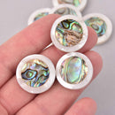 2 Abalone Shell Coin Beads, 24mm, bgl2064