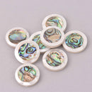 2 Abalone Shell Coin Beads, 24mm, bgl2064