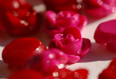 20 Small Resin Rose Beads or Cabochons  13mm diameter  HOT PINK and RED Mix cab0248