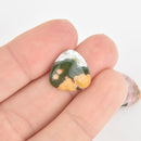 5 OCEAN JASPER 15mm Gemstone Cabochons TRILLION Triangle Cab0567