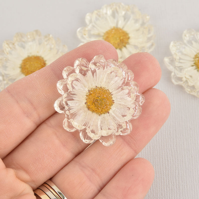 2 Daisy Cabochons, Clear Resin with Flower, 37mm diameter cab0589
