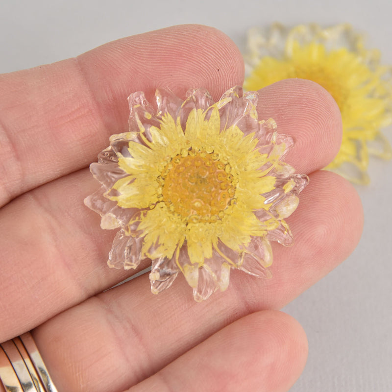 2 Daisy Cabochons, Clear Resin with Yellow Flower, 37mm diameter cab0590