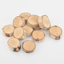 birch wood tree slices rounds