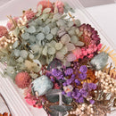 Dried Flowers for resin, crafts, vase fillers, mixed colors, cft0286