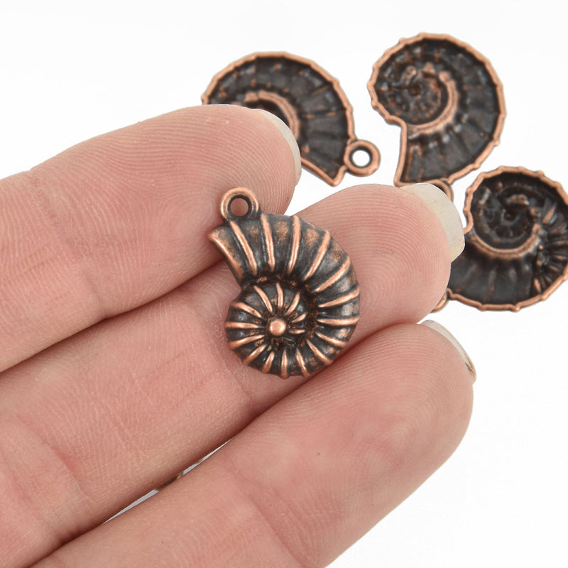 6 FOSSIL SHELL Ammonite Charm Pendants, antique copper metal, chc0021