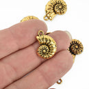 6 FOSSIL SHELL Ammonite Charm Pendants, antique gold metal, chg0175