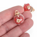 5 Glass Ball Charms, RED Crystals and white dried flower, round globe glass vial, gold bail top, 22x16mm, chs3670