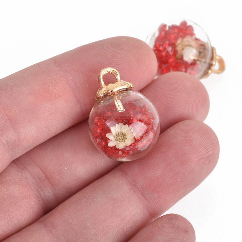 5 Glass Ball Charms, RED Crystals and white dried flower, round globe glass vial, gold bail top, 22x16mm, chs3670