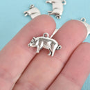 10 PIG Charms, Silver Metal, 20mm, chs3724