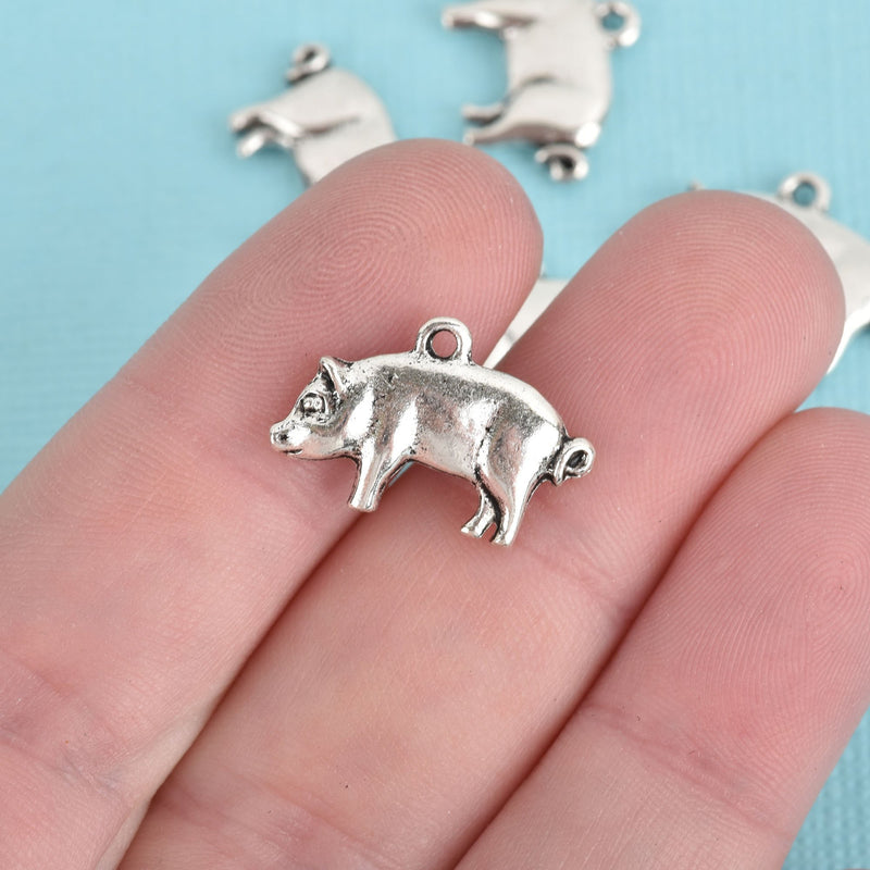 10 PIG Charms, Silver Metal, 20mm, chs3724