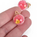 5 Glass Ball Charms, HOT PINK Crystals and white dried flower, round globe glass vial, gold bail top, 22x16mm, chs3737