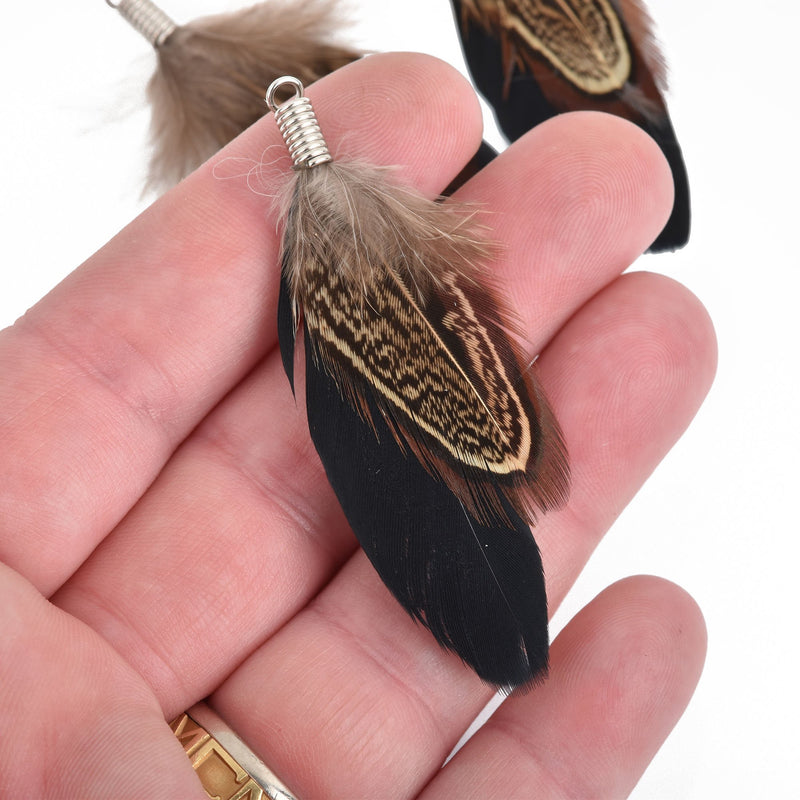 10 Brown Real Feather Charms with silver bail 2.5" long, chs4112